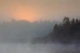 Foggy Sunrise_07695